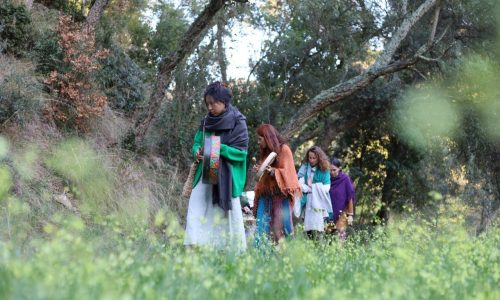 Retiros espirituales en la Naturaleza Montseny Voz Ritual Nuria Cervera