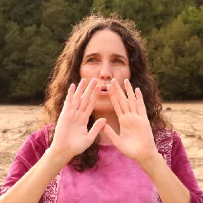 Sanación Vocal